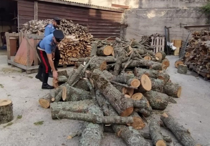 Tentato furto di legna arresti CC Mistretta 2