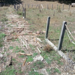 Il laghetto “Quattrocchi” in uno stato di quasi abbandono-2