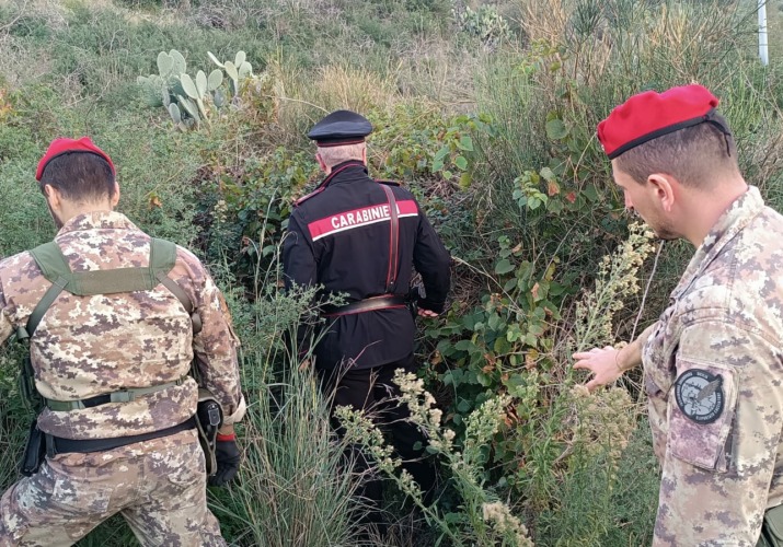 Foto Carabinieri in azione
